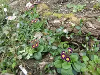 CIMG4914.webp