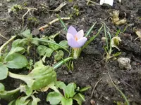 CIMG4872.webp