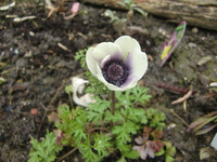 CIMG4751.webp