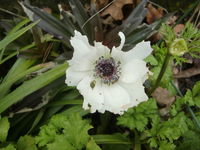 CIMG4743.webp