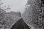 IMG_2637.jpg