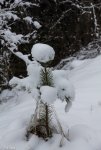 IMG_2678.jpg
