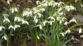 DSCN1544.webp