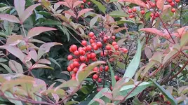 014.webp