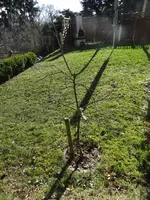 DSC03030.webp