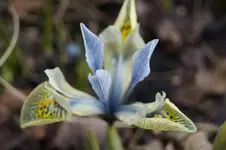 _DSC4549.webp