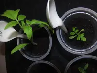 2014-02-09 Normal beide.webp