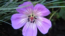 DSCN3805.webp