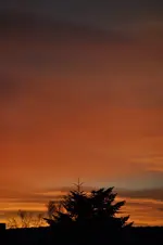 DSC_9170.webp
