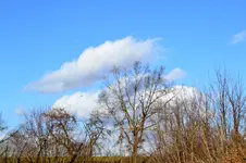Himmlisch_0003.webp