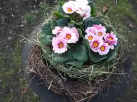 DSCF3335.webp