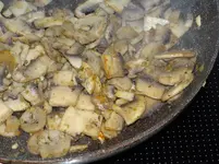 Champignons4.webp