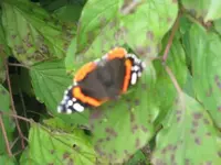 Bilda 0403.webp