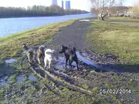 Matsch (2).webp
