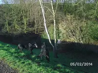 Jagdzeit (3).webp