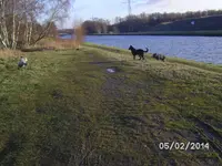 Jagdzeit (5).webp