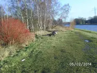 Jagdzeit (6).webp