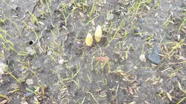 garten 003.webp