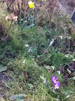 frühling.webp