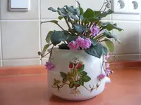 07 tina 1.webp