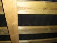 CIMG6624.webp