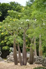 10.webp