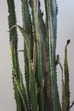 IMG_1866.webp