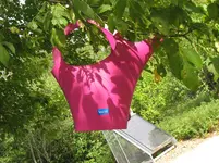 Bild 489.webp