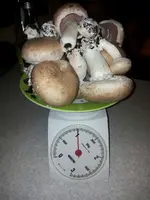 IMG-20140213-WA0005.webp