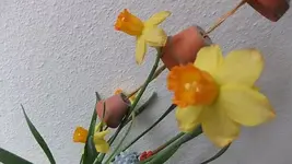 031.webp