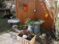 Garten3.webp