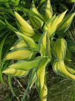 drinking groud_600x800.webp