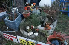 DSC00808.webp