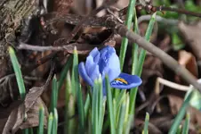 DSC_9181.webp