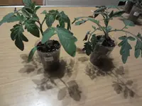 K1600_IMG_0084.webp