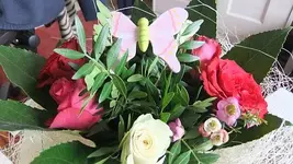 001.webp