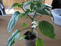 K1600_IMG_0087.webp