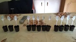 20140216_112936.webp