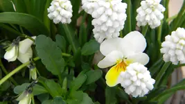 DSCN2073.webp