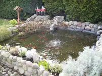 100_1302.webp 100_1302.webp