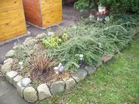 100_1304.webp 100_1304.webp