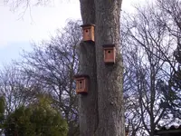 100_1309.webp 100_1309.webp