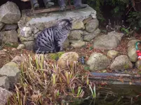 100_1311.webp 100_1311.webp