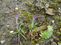 febr04 010.webp