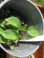 baby bunting_600x800.webp