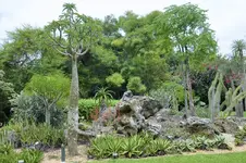 DSC_4655.webp