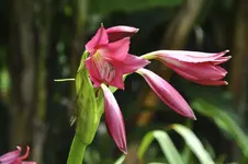 DSC_4652.webp