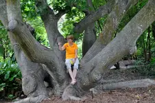 123.webp