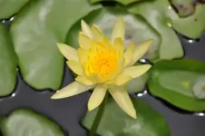 DSC_4741.webp