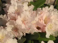 026.webp